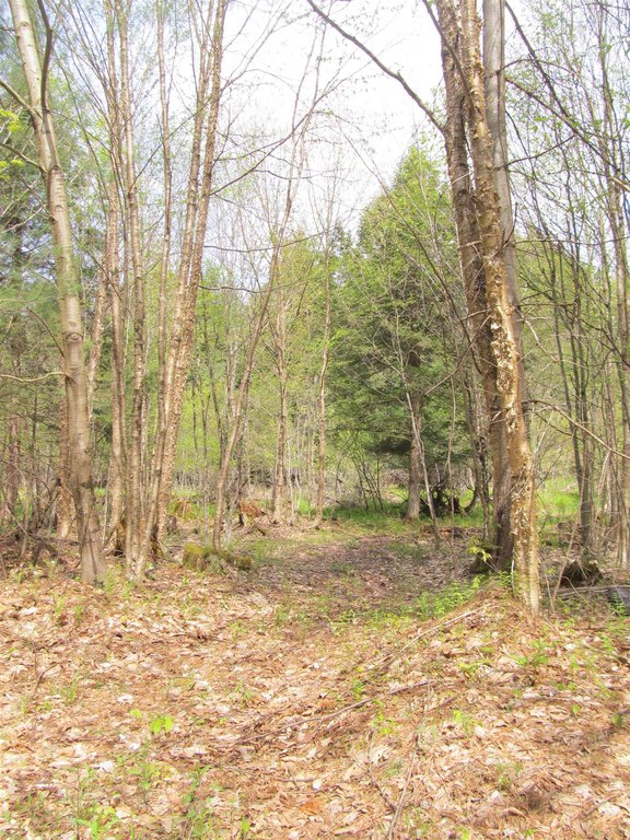 Picture 13