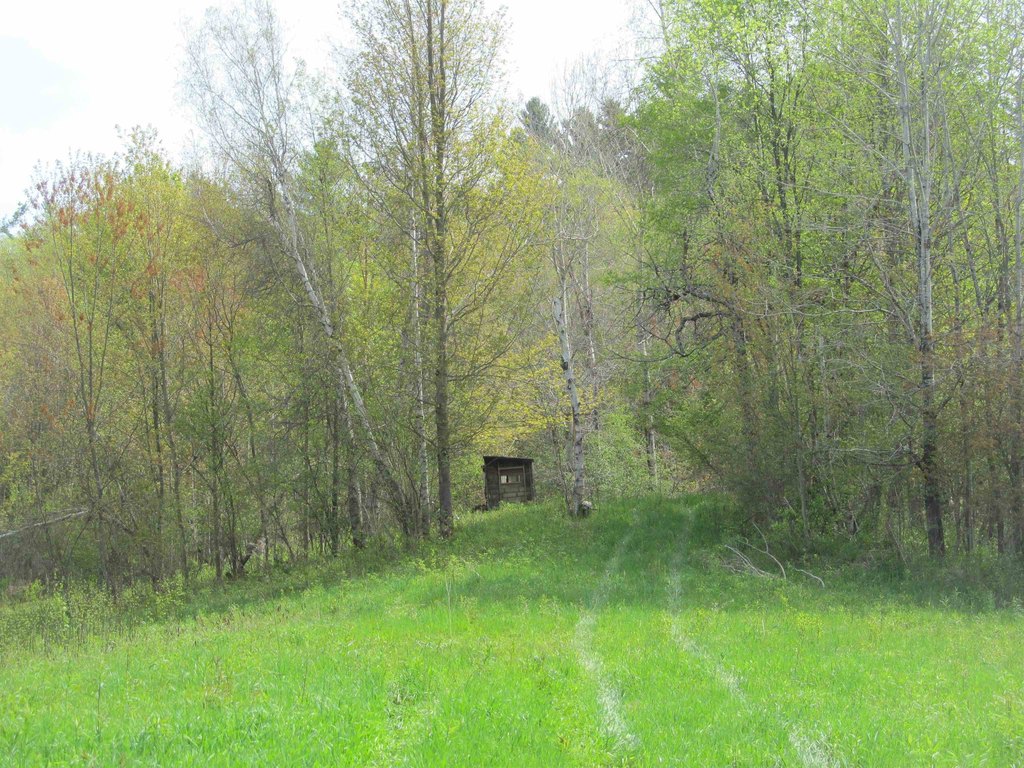 Picture 2