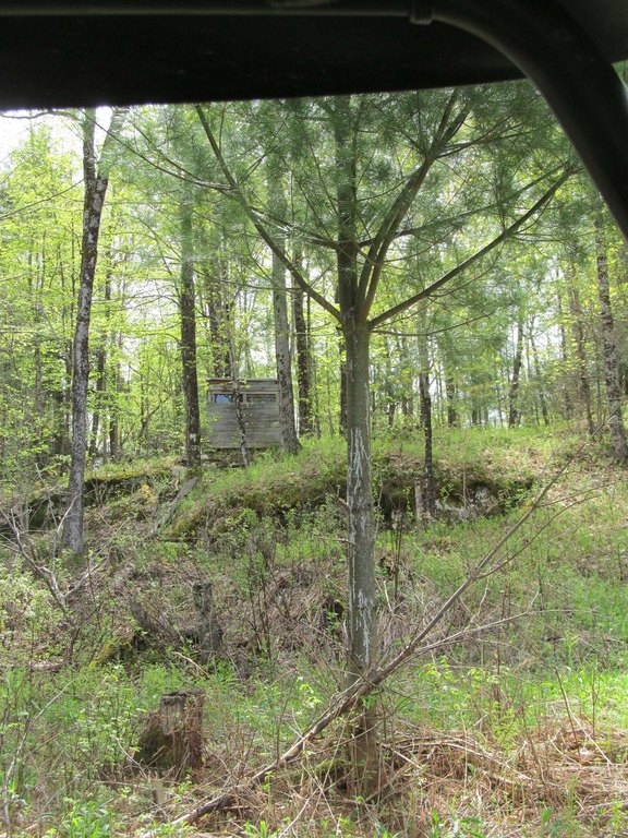 Picture 14