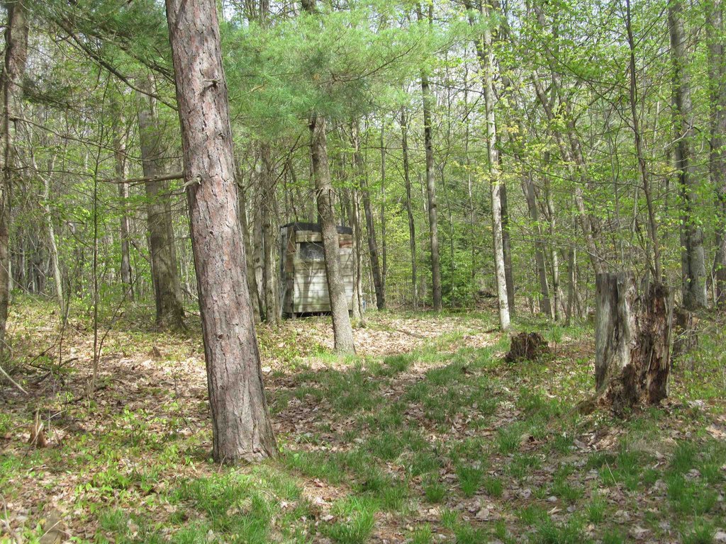 Picture 3