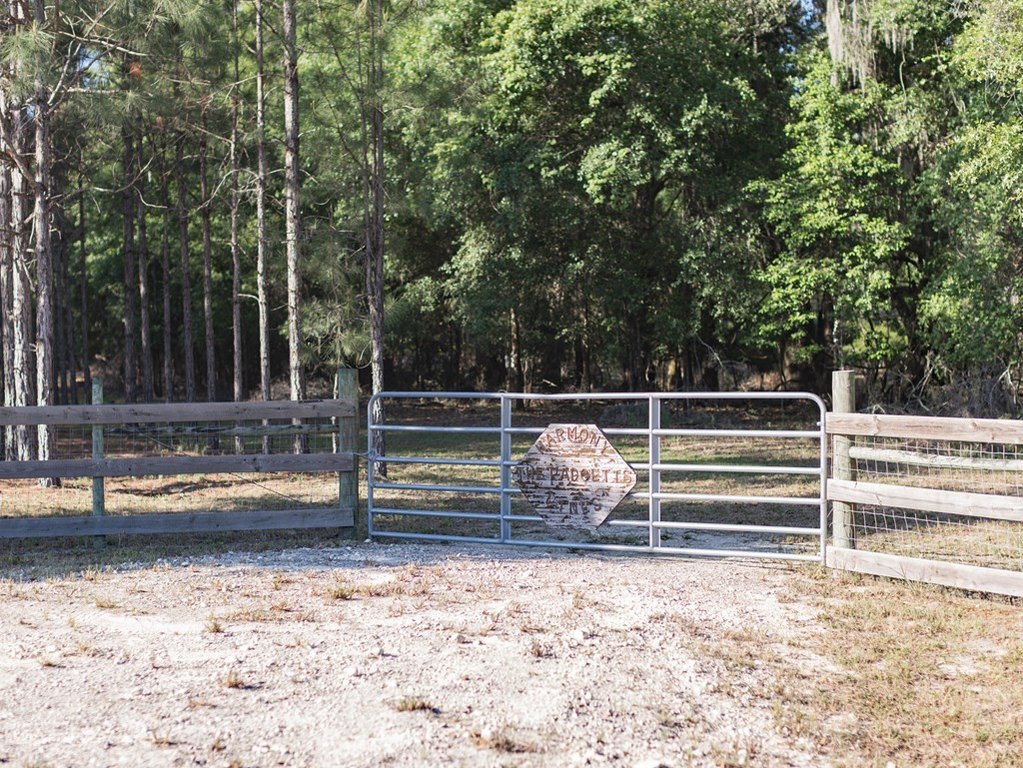 Picture 27