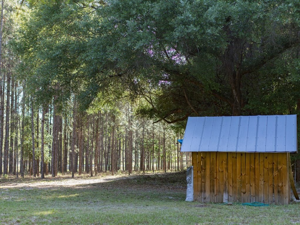 Picture 14
