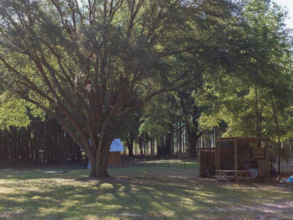 Picture 17