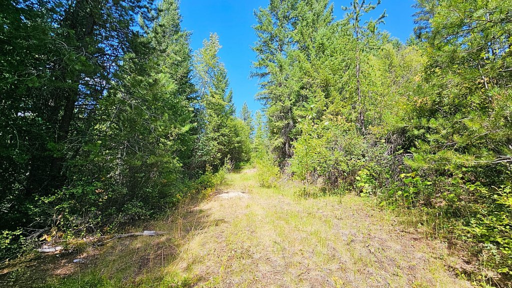 Picture 4