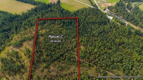 Timberland Parcel with Level Building Sites