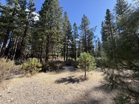 Land, Clio, CA