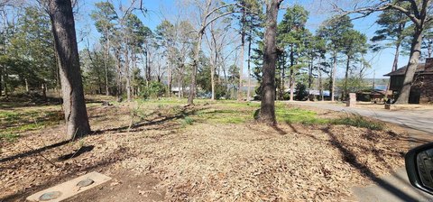 Heber Springs Land with View