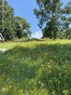 Saugerties Land with Mountain Views