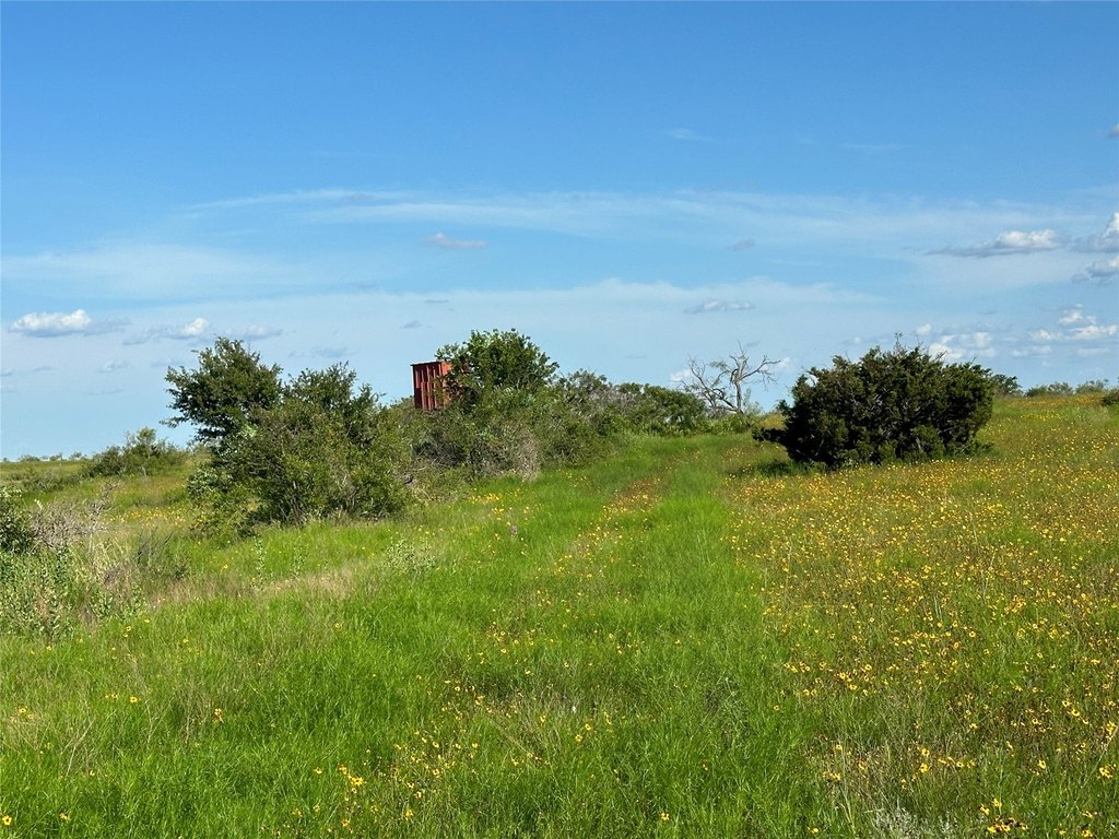 Picture 18