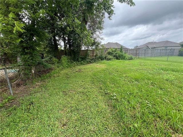 Picture 7
