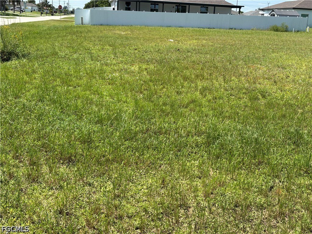 Picture 17