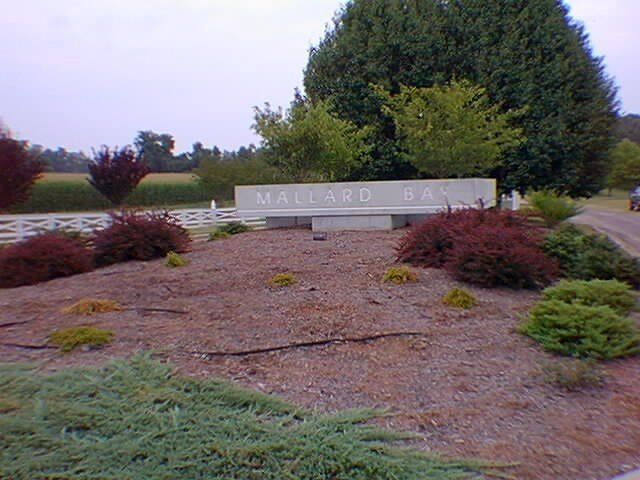 Picture 20