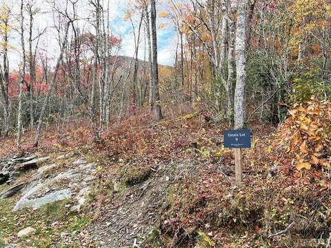 Cashiers NC Land Parcel