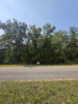 LOTS AND LAND, Interlachen, FL