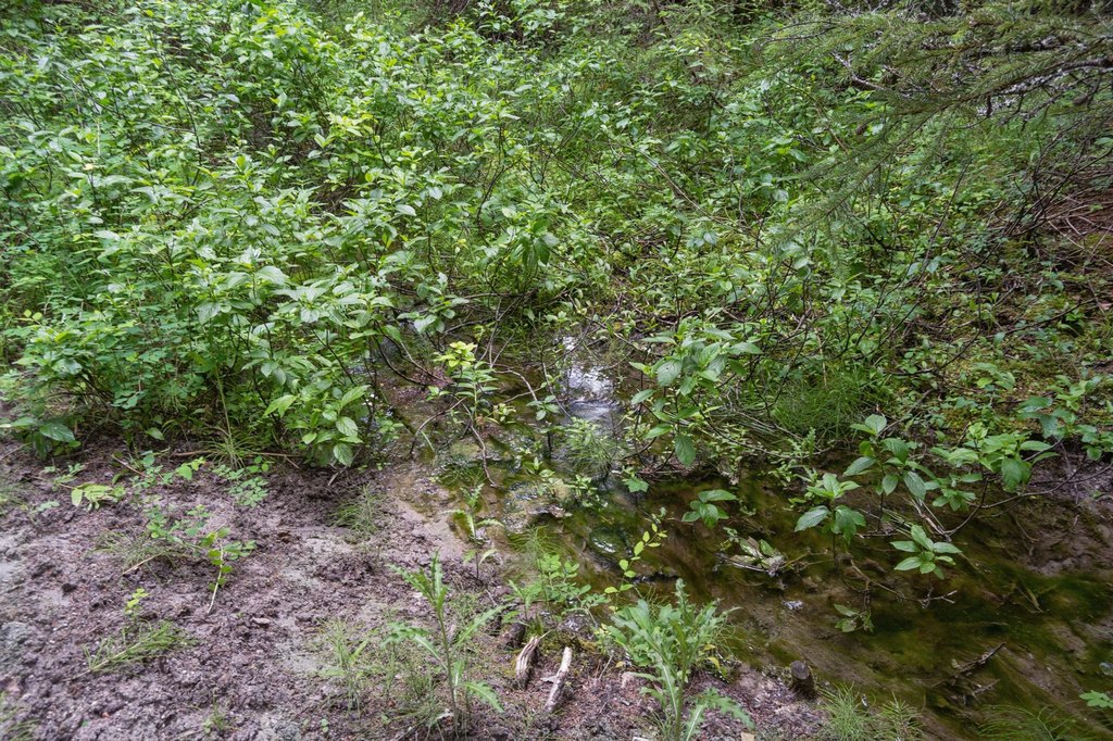Picture 13