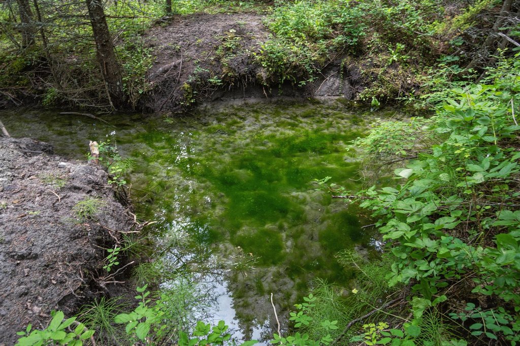 Picture 16