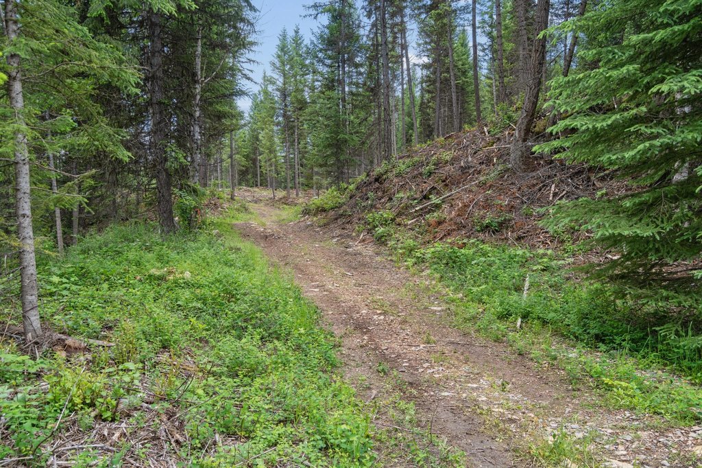 Picture 19