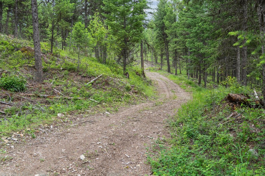 Picture 21