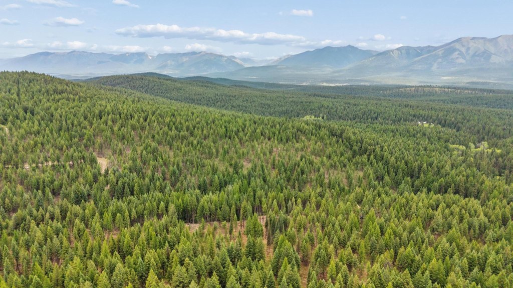 Picture 31