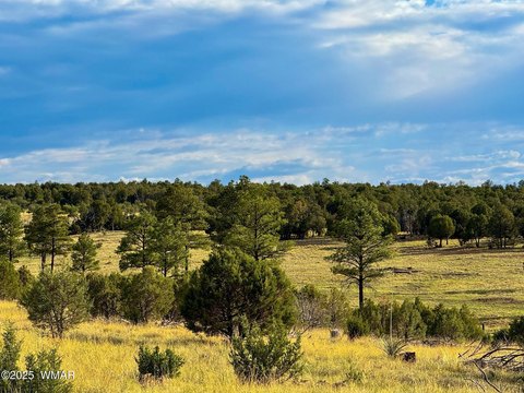 Aripine, AZ 5-Acre Land Parcel