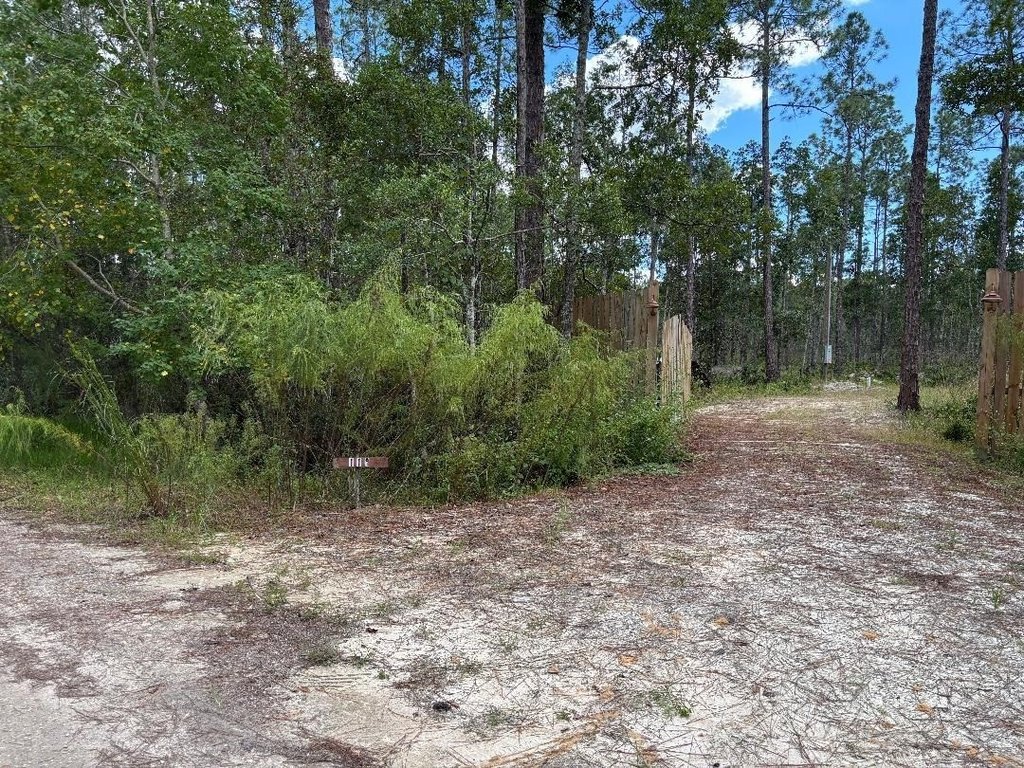 Picture 8