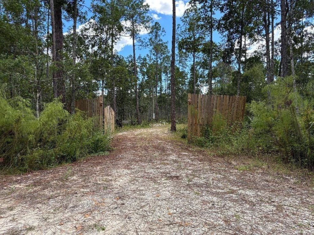 Picture 16