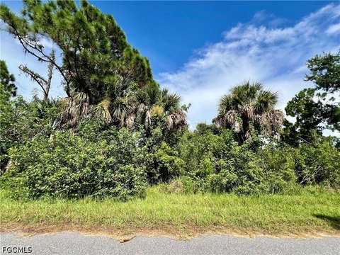 LAND - Port Charlotte, FL
