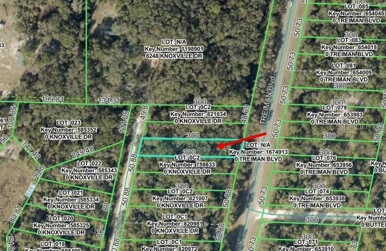 Residential Lot in Webster, FL