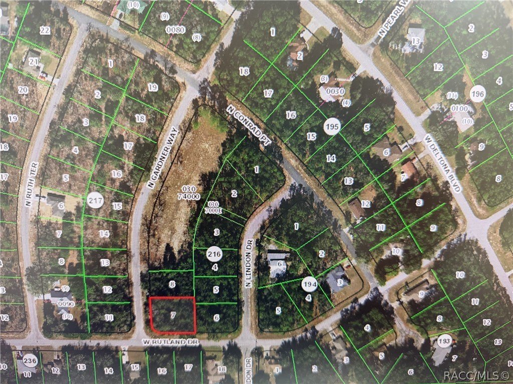 Citrus Springs Corner Lot