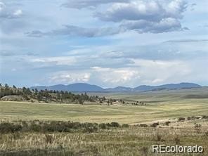 Land, Hartsel, CO