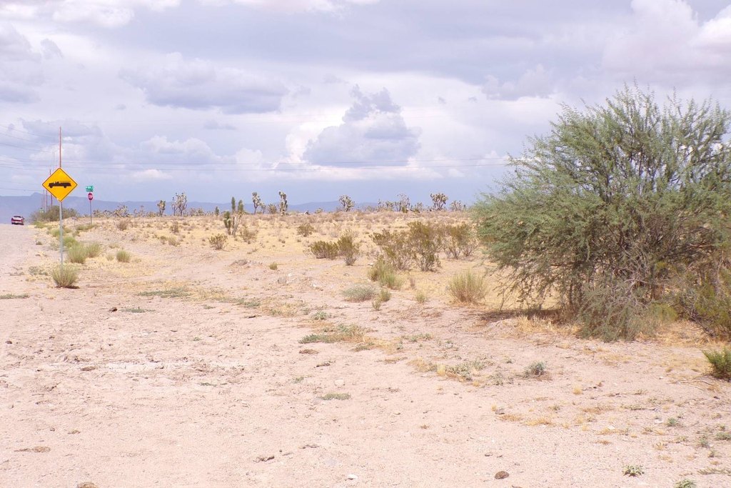 Picture 22