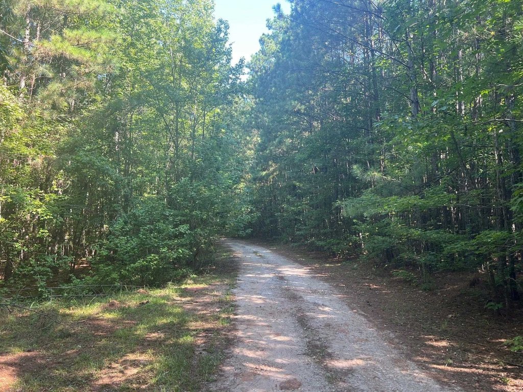 Picture 28