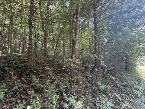 Land, Max Meadows, VA