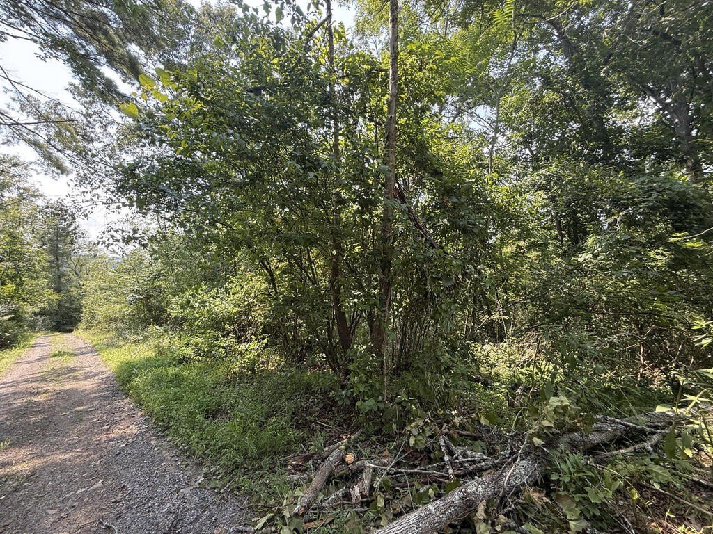 Picture 5