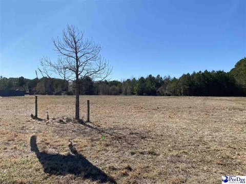 Florence Commercial Land For Sale