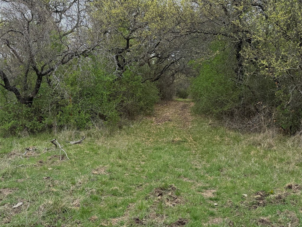 Picture 10