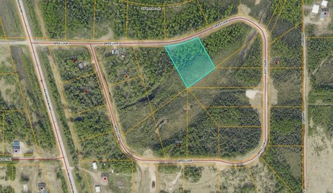 Salcha, AK Land For Sale