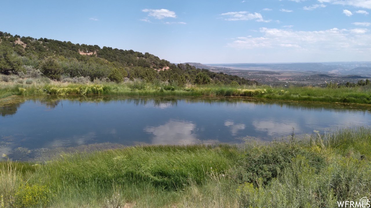Land with Pond in Fruitland