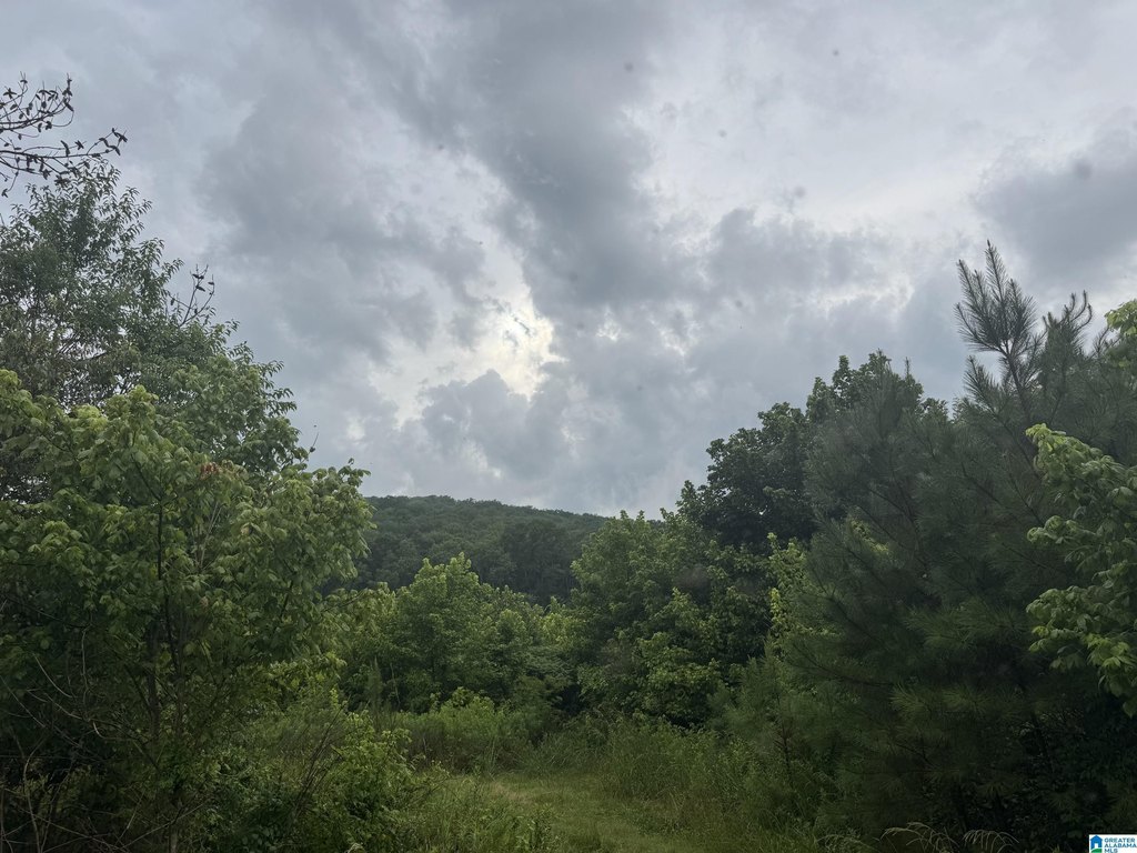 Picture 23