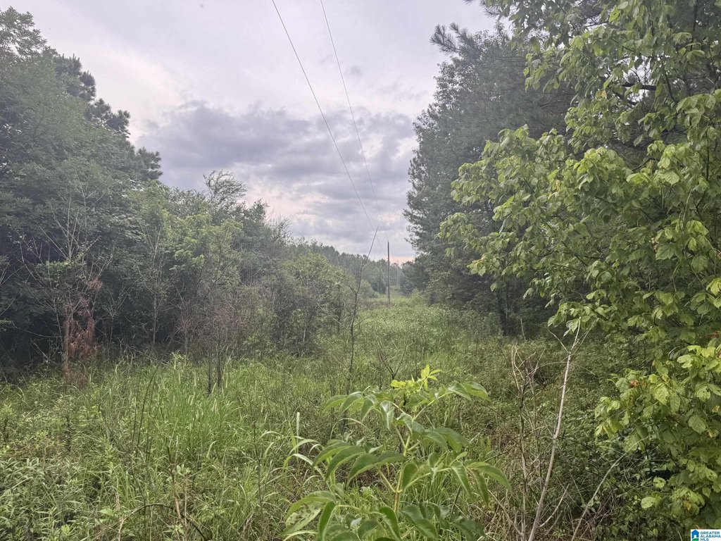Picture 22