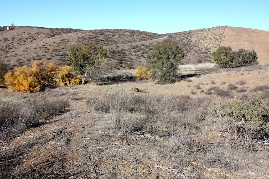 Picture 8