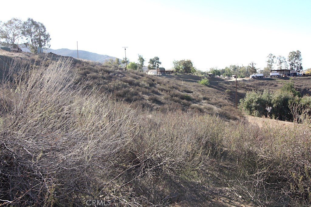 Picture 10