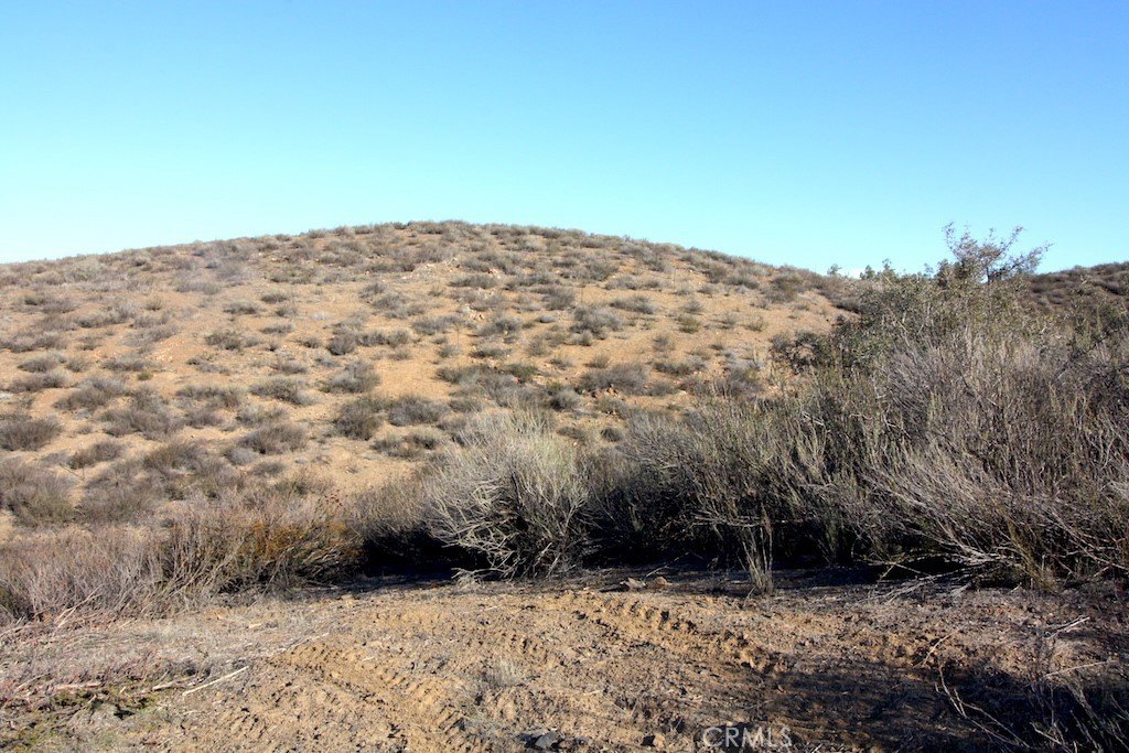 Picture 9