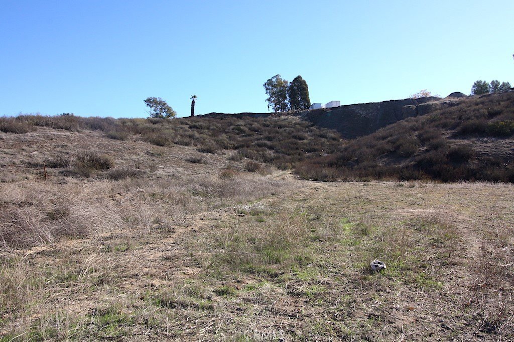Picture 17
