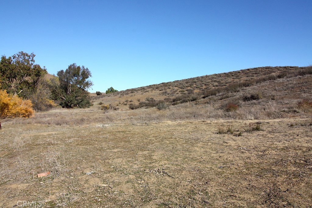 Picture 14