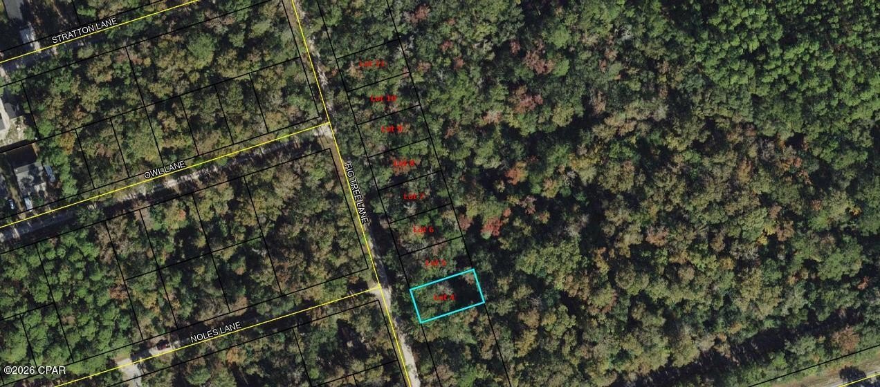 Crawfordville Vacant Land Opportunity