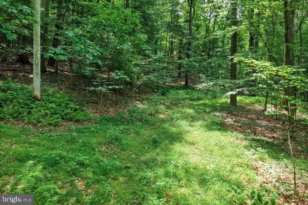 Picture 31