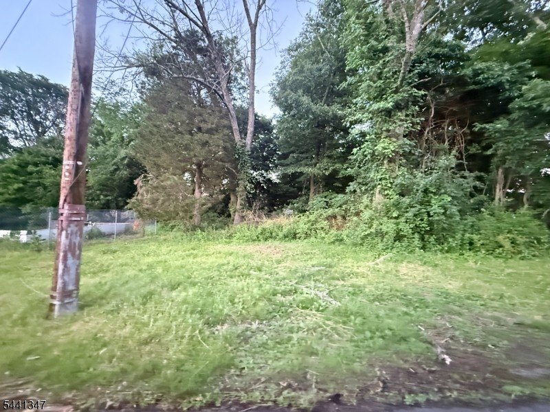 Picture 2