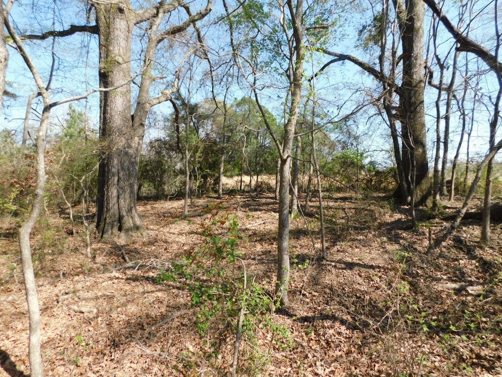 Picture 21