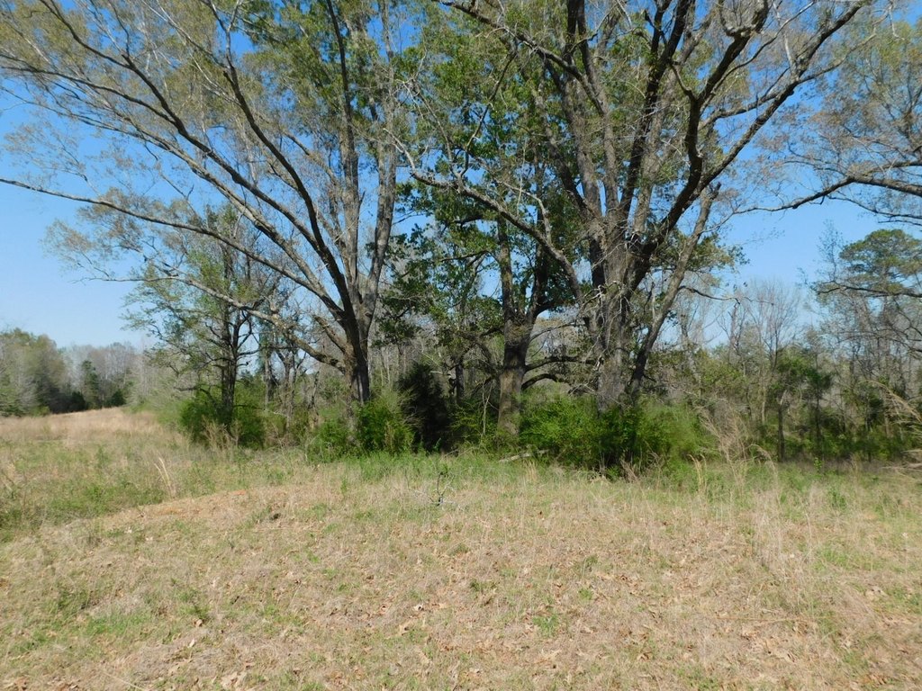 Picture 18